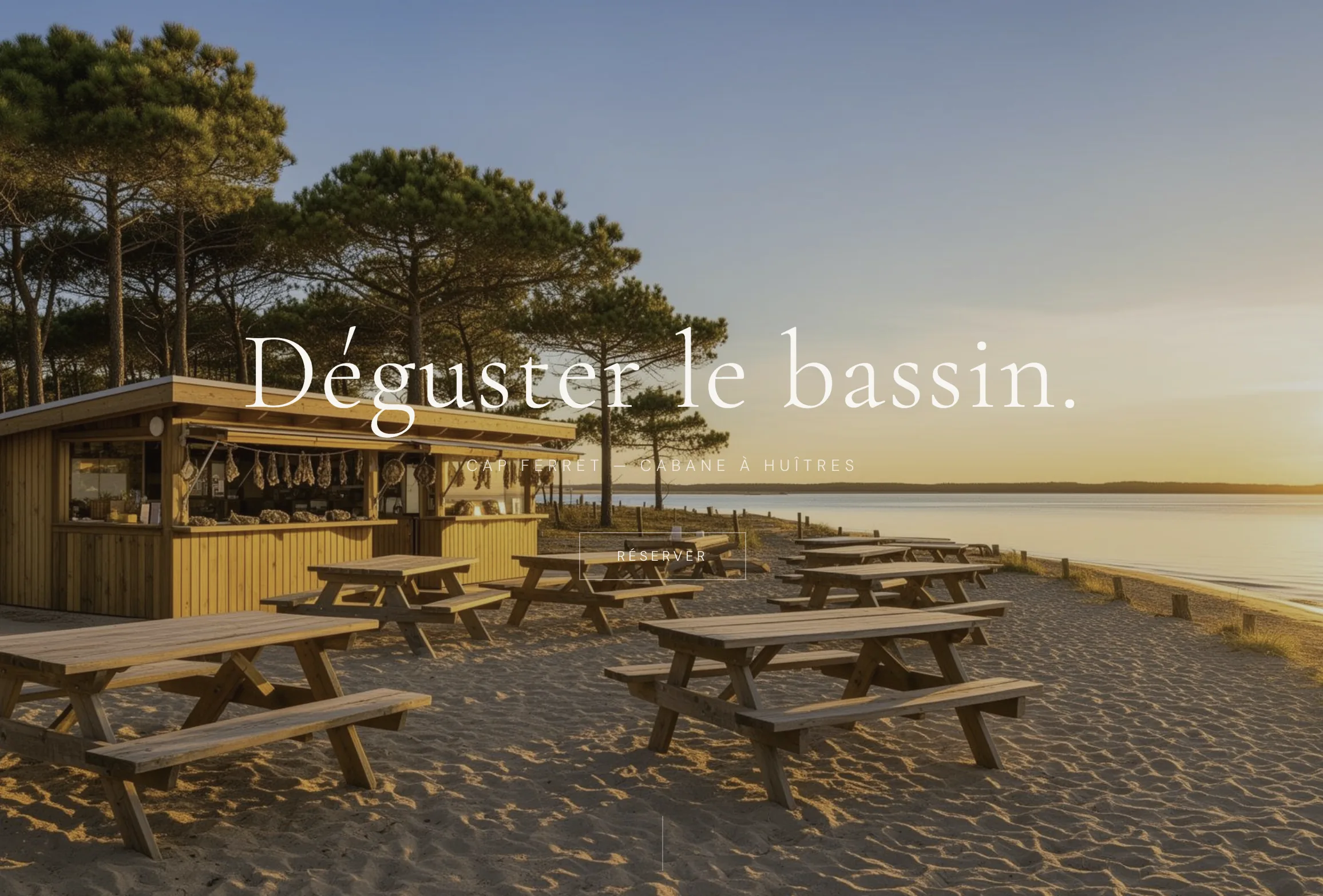 Build d'outils internes no-code