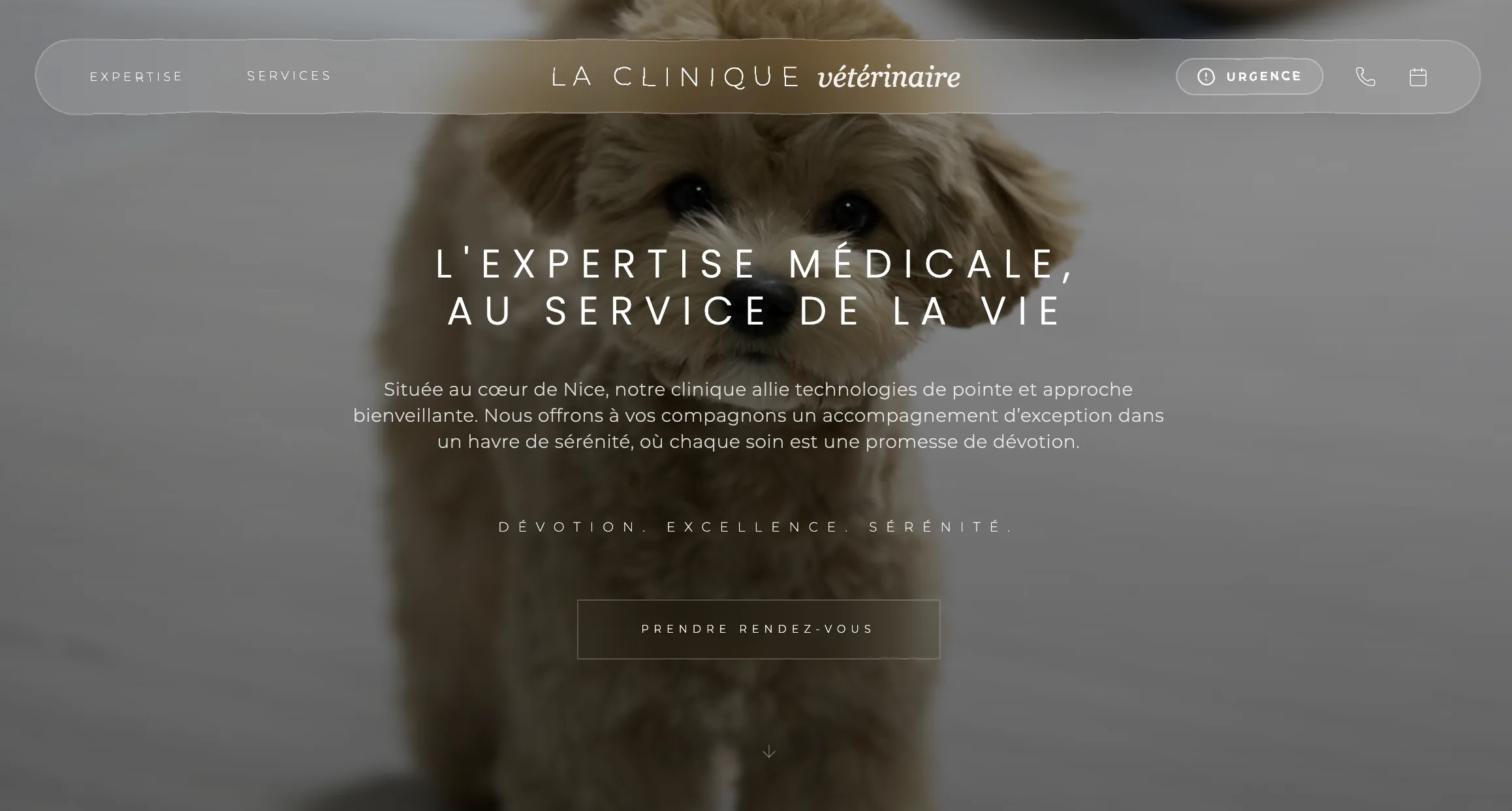 Process d'équipe et exécution opérationnelle